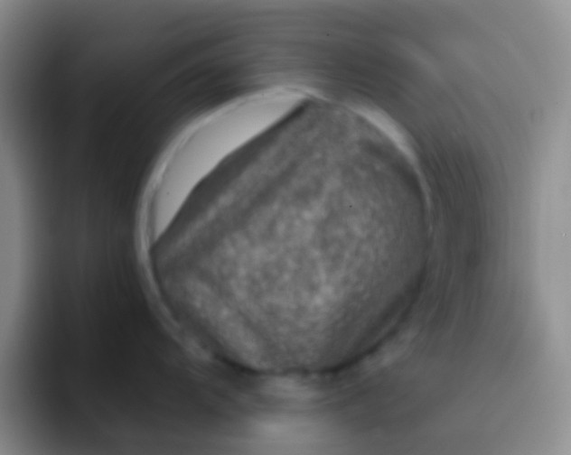 X0000091931104200709261909