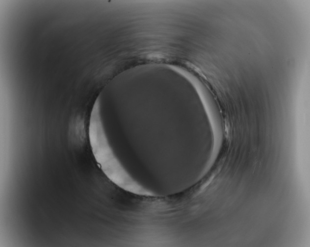 X0000091931106200709261909