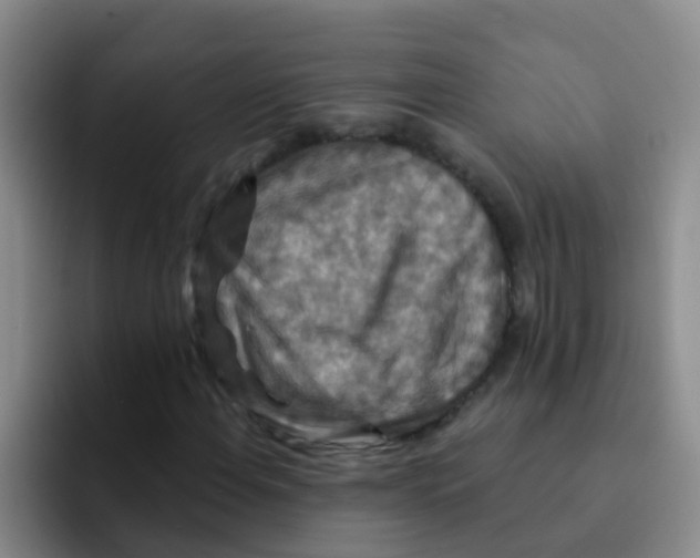 X0000091931108200709261909