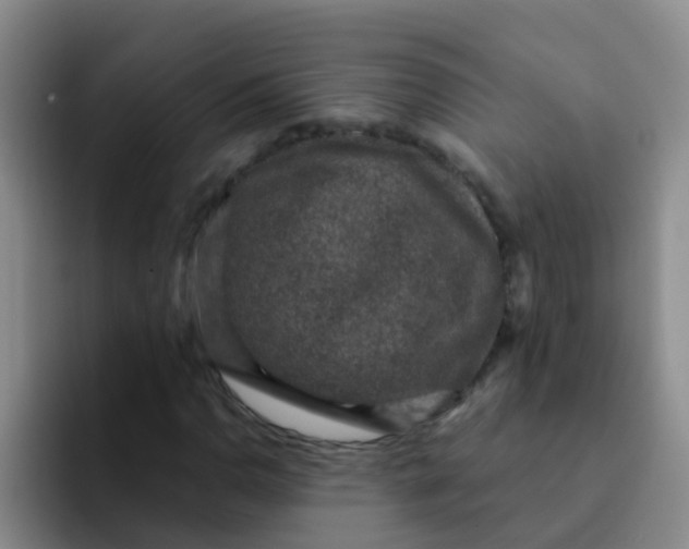 X0000091931110200709261909