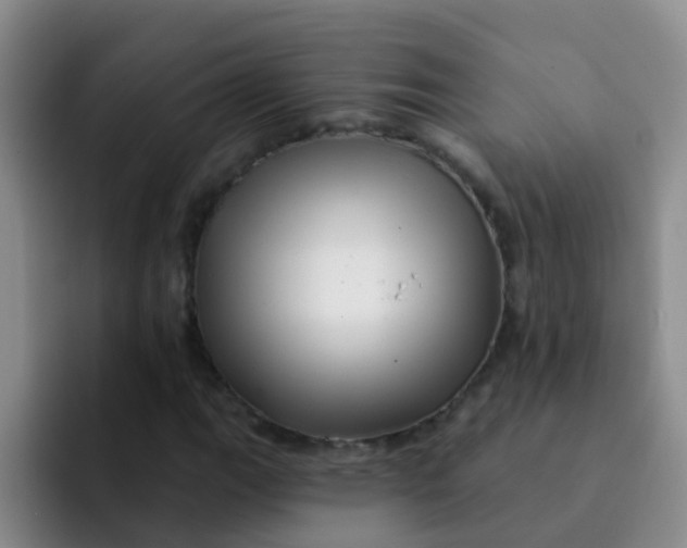 X0000091931111200709261909