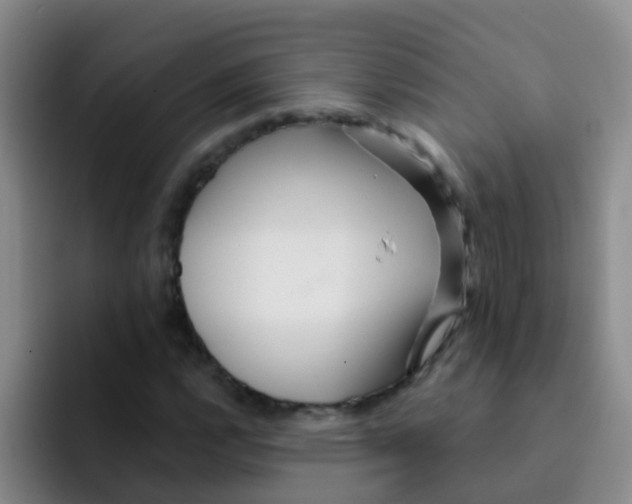 X0000091931112200709261909