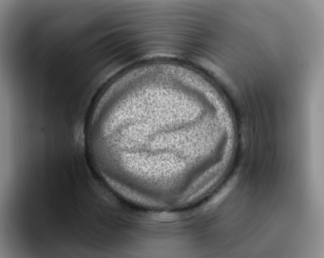 X0000091931113200709261909