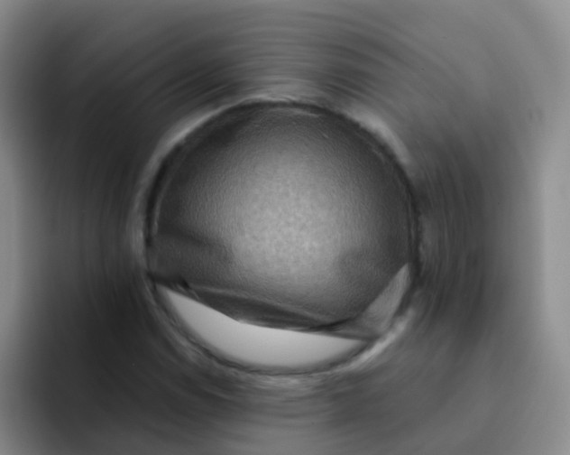 X0000091931114200709261909