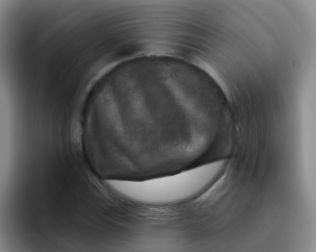 X0000091931115200709261909