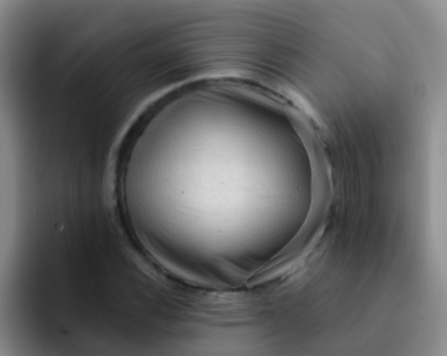 X0000091931116200709261909