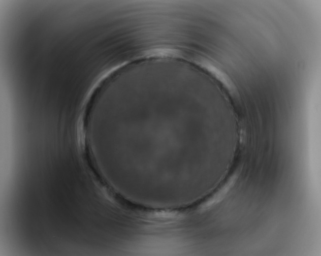 X0000091931117200709261909