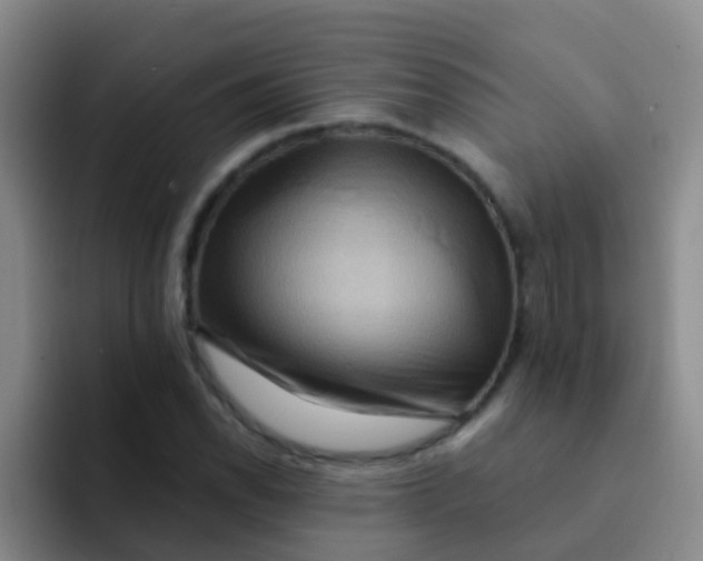 X0000091931118200709261909