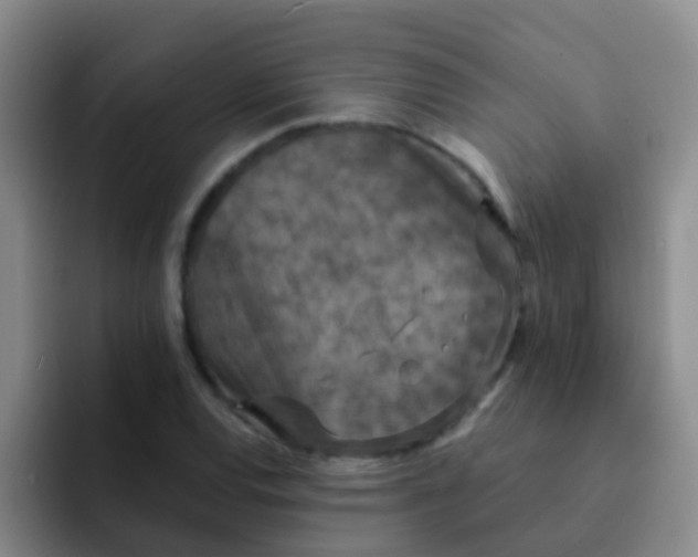 X0000091931120200709261909