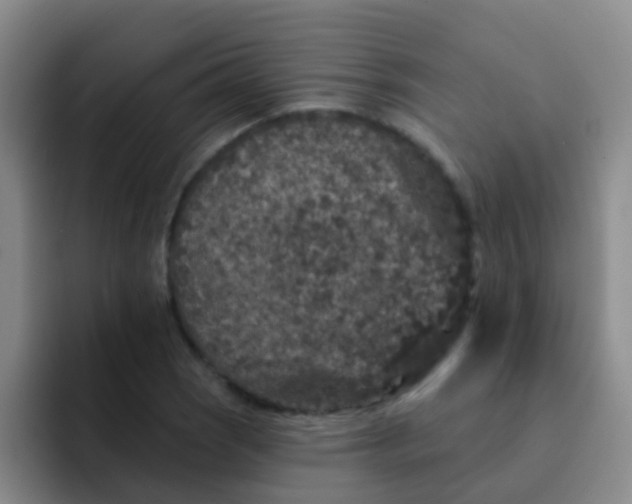 X0000091931121200709261909
