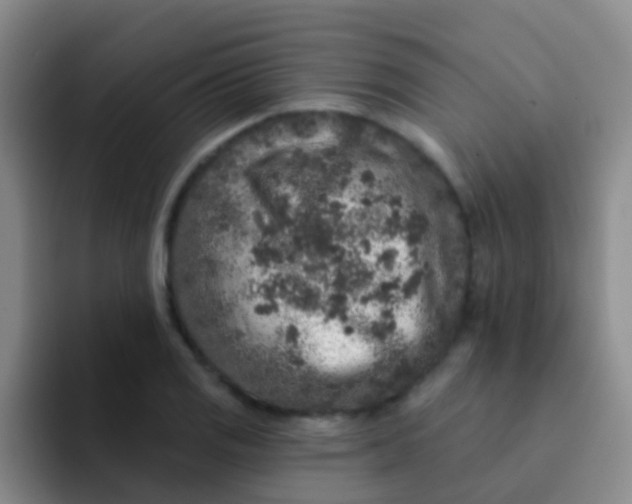 X0000091931125200709261909