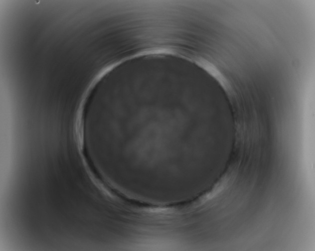 X0000091931127200709261909