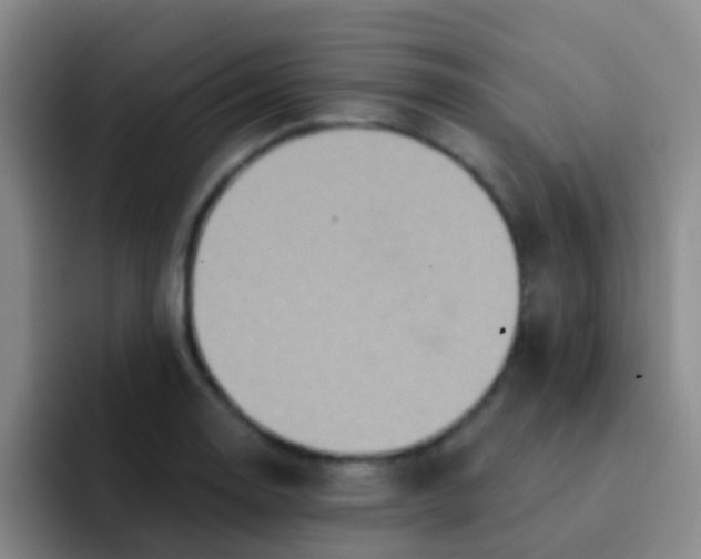 X0000091931130200709261909