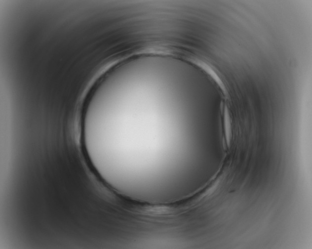 X0000091931131200709261909