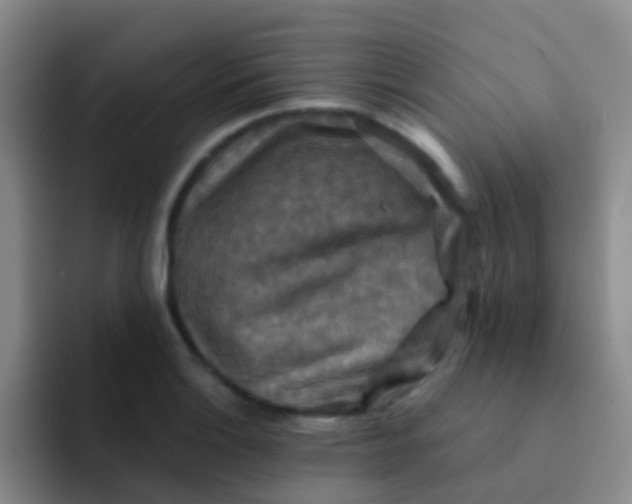 X0000091931132200709261909
