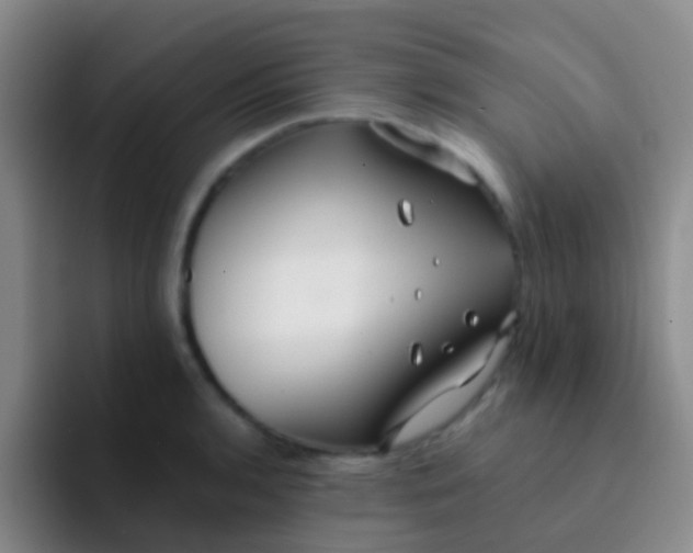 X0000091931136200709261909
