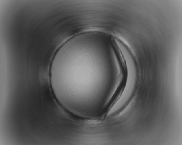 X0000091931137200709261909