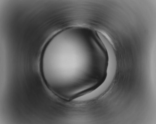 X0000091931139200709261909