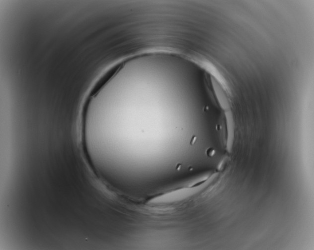 X0000091931140200709261909