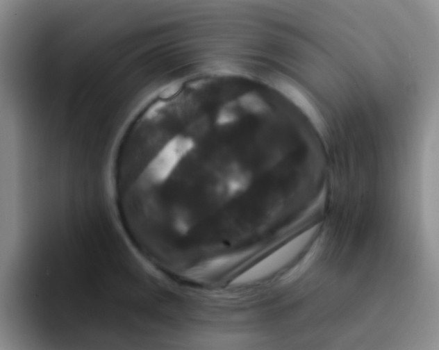 X0000091931141200709261909