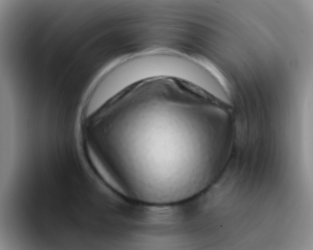 X0000091931142200709261909