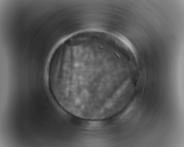 X0000091931144200709261909