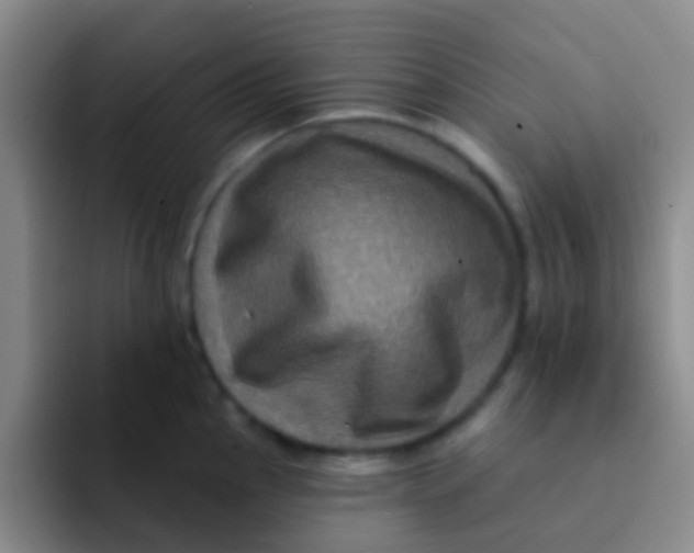 X0000091931145200709261909