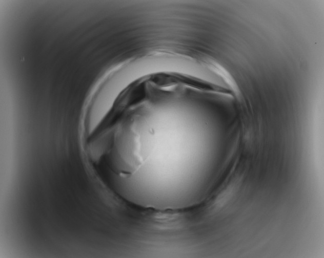 X0000091931146200709261909