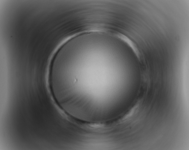 X0000091931147200709261909