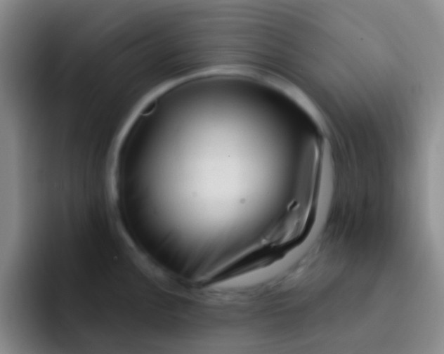 X0000091931148200709261909