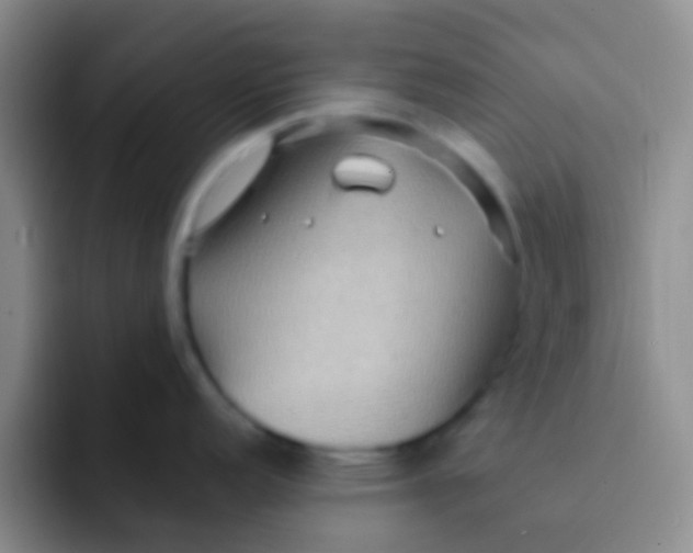 X0000091931152200709261909