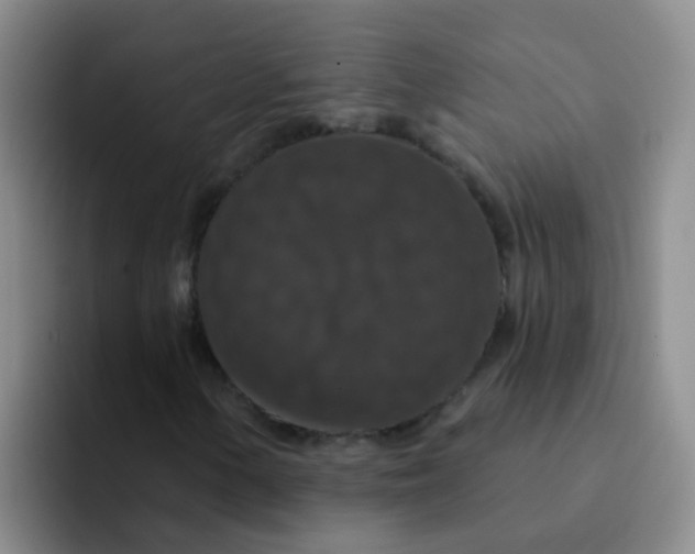 X0000091931154200709261909