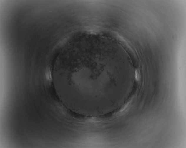 X0000091931155200709261909