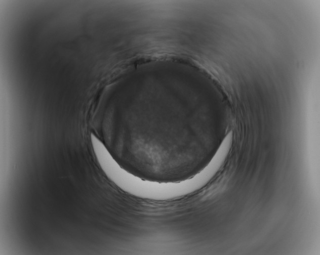 X0000091931156200709261909