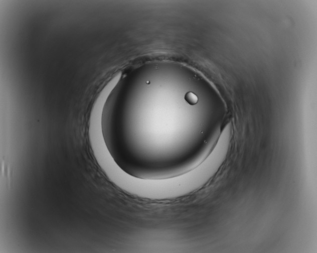 X0000091931157200709261909