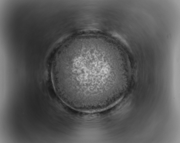 X0000091931159200709261909