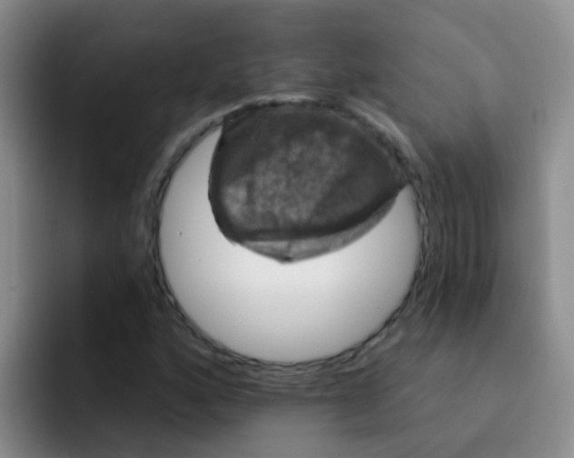X0000091931160200709261909