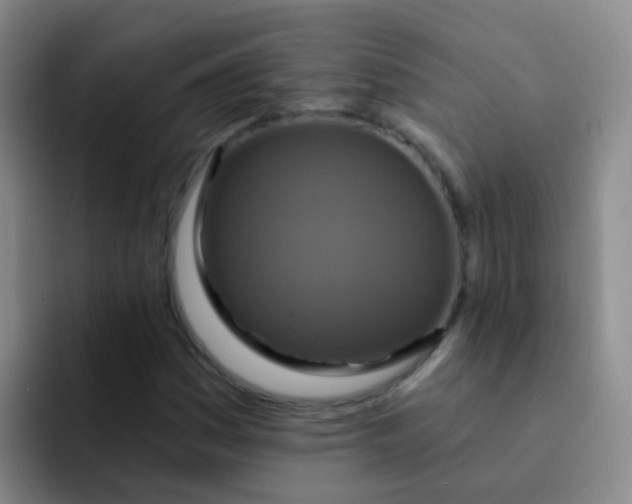 X0000091931161200709261909