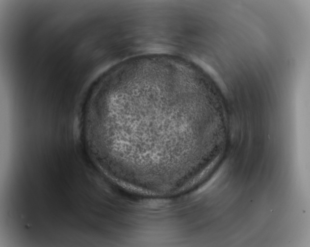 X0000091931163200709261909