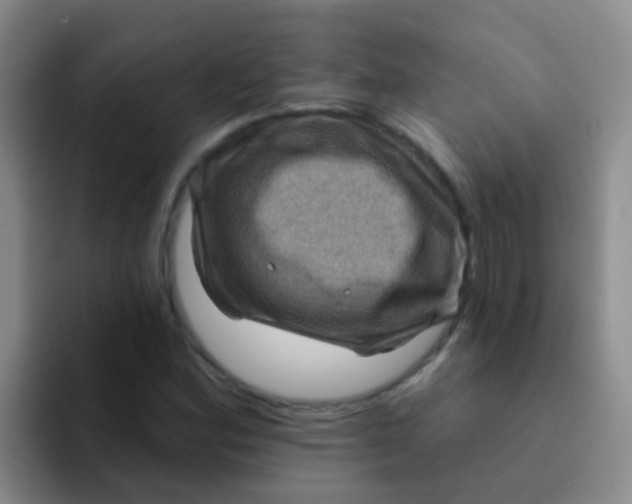 X0000091931164200709261909