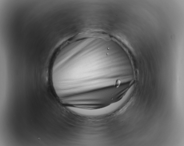 X0000091931165200709261909