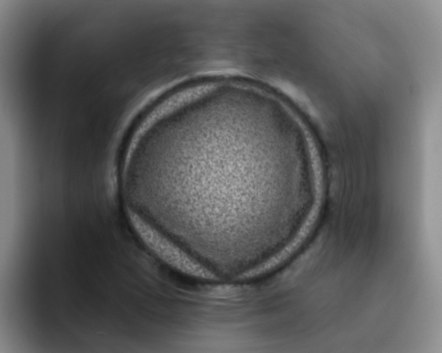 X0000091931167200709261909