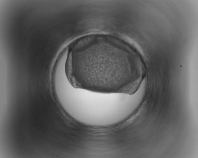 X0000091931168200709261909