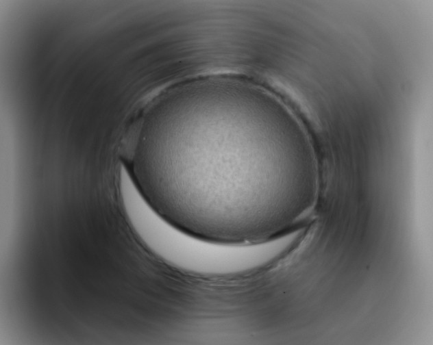 X0000091931169200709261909
