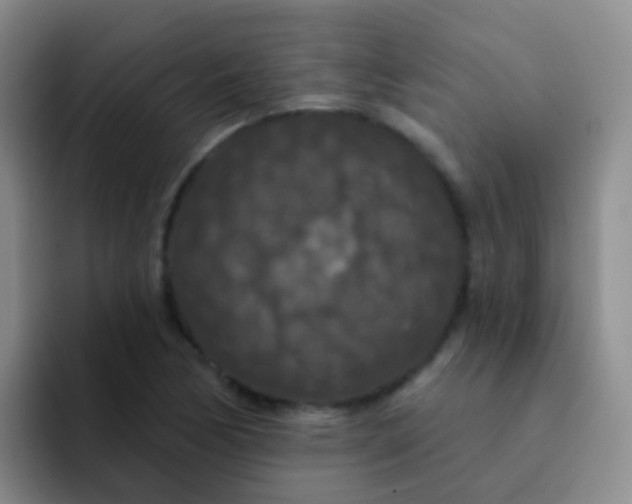 X0000091931170200709261909