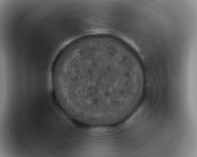 X0000091931171200709261909