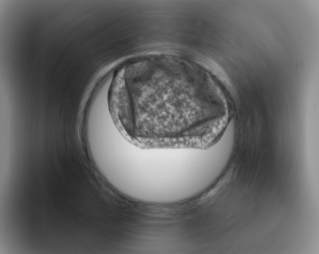 X0000091931172200709261909