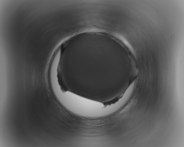 X0000091931173200709261909