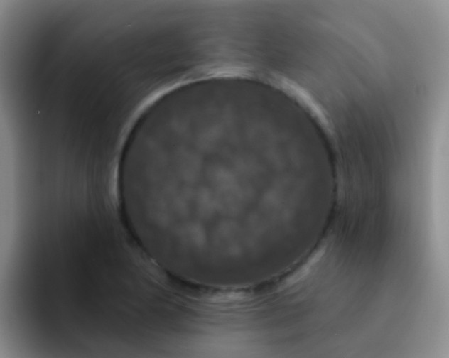 X0000091931174200709261909