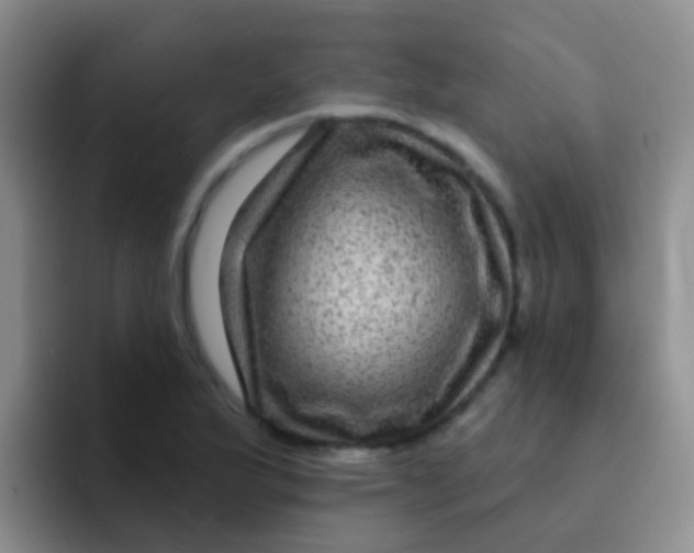 X0000091931175200709261909